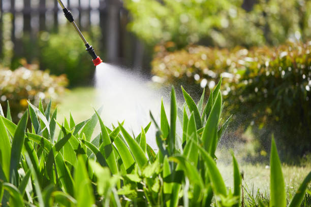 24/7 Emergency Mosquito Control experts in Bridgetown, MS