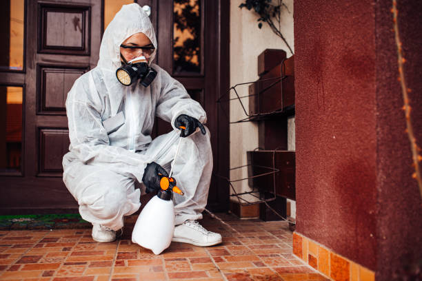 Reliable Mosquito Control contractor in Bridgetown, MS by Show Me Pest Control